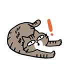 毎日しまじゃん！（個別スタンプ：1）