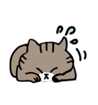毎日しまじゃん！（個別スタンプ：4）