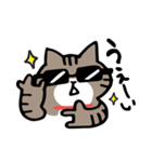 毎日しまじゃん！（個別スタンプ：5）