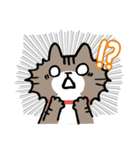 毎日しまじゃん！（個別スタンプ：6）