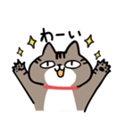 毎日しまじゃん！（個別スタンプ：14）