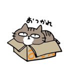 毎日しまじゃん！（個別スタンプ：16）