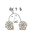 多肉の日々あるある（日常）（個別スタンプ：17）