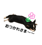 うちのモナ（個別スタンプ：7）