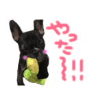 我が家のlocoちゃん（個別スタンプ：14）