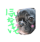 我が家のlocoちゃん（個別スタンプ：16）