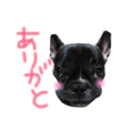 我が家のlocoちゃん（個別スタンプ：17）