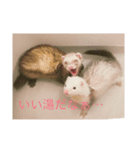 4ひきのにょろにょろ（個別スタンプ：1）