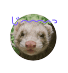 4ひきのにょろにょろ（個別スタンプ：5）