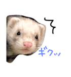 4ひきのにょろにょろ（個別スタンプ：8）