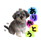 伊佐なつ＆ねぎ（個別スタンプ：1）
