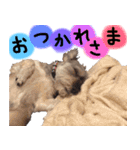 伊佐なつ＆ねぎ（個別スタンプ：3）