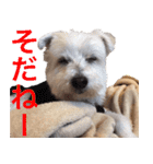 伊佐なつ＆ねぎ（個別スタンプ：20）