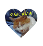 なかやさん（個別スタンプ：6）