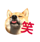 ナッツ純 友情編（個別スタンプ：7）