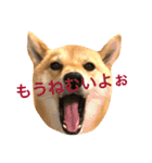 ナッツ純 友情編（個別スタンプ：15）