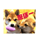 ナッツ純 友情編（個別スタンプ：20）