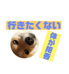 ナッツ純 友情編（個別スタンプ：23）