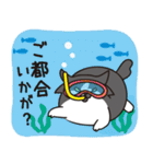 はらぺこ猫の夏（個別スタンプ：14）