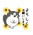 はらぺこ猫の夏（個別スタンプ：18）