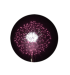 花火です。（個別スタンプ：5）