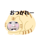 ハンちゃんの日常（個別スタンプ：4）