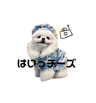 アオイのためのスタンプ（個別スタンプ：5）