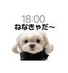 アオイのためのスタンプ（個別スタンプ：24）