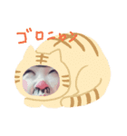 ツンデレ娘。（個別スタンプ：7）
