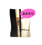 タローにコタロー（個別スタンプ：15）