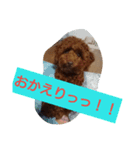 ♡ぽぽ♡（個別スタンプ：4）