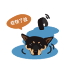 黒柴ピッピ−日常編（個別スタンプ：1）