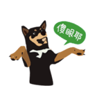 黒柴ピッピ−日常編（個別スタンプ：3）