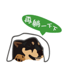 黒柴ピッピ−日常編（個別スタンプ：5）