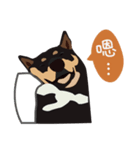 黒柴ピッピ−日常編（個別スタンプ：7）