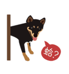 黒柴ピッピ−日常編（個別スタンプ：8）