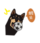 黒柴ピッピ−日常編（個別スタンプ：10）