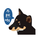 黒柴ピッピ−日常編（個別スタンプ：11）