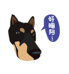 黒柴ピッピ−日常編（個別スタンプ：12）