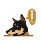 黒柴ピッピ−日常編（個別スタンプ：13）