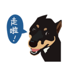 黒柴ピッピ−日常編（個別スタンプ：14）