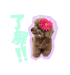 よく使う言葉集めました（個別スタンプ：3）