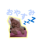 よく使う言葉集めました（個別スタンプ：5）