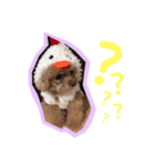よく使う言葉集めました（個別スタンプ：9）
