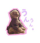 よく使う言葉集めました（個別スタンプ：13）