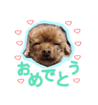 よく使う言葉集めました（個別スタンプ：14）
