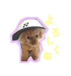 よく使う言葉集めました（個別スタンプ：15）
