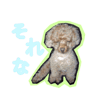 よく使う言葉集めました（個別スタンプ：16）