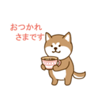日本の秋田犬①（個別スタンプ：1）