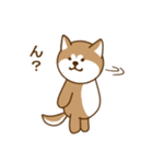 日本の秋田犬①（個別スタンプ：19）